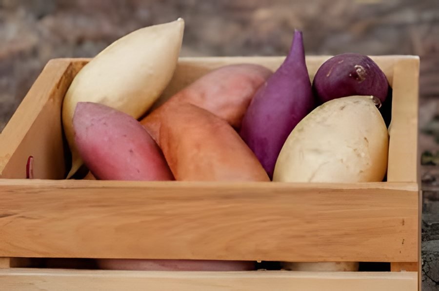 Shakariya – Sweet potato