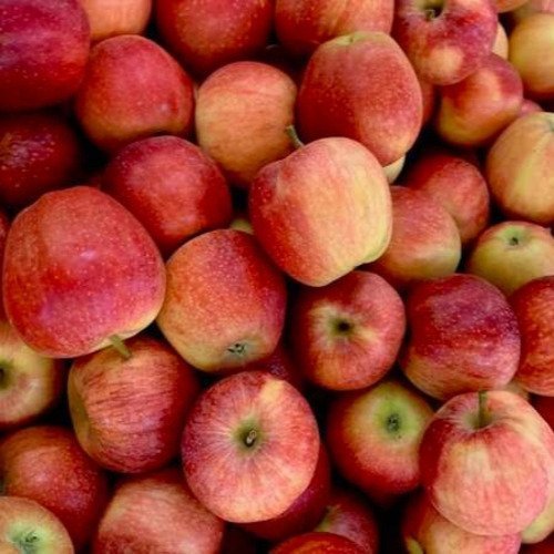 Apple – Mava/Soft