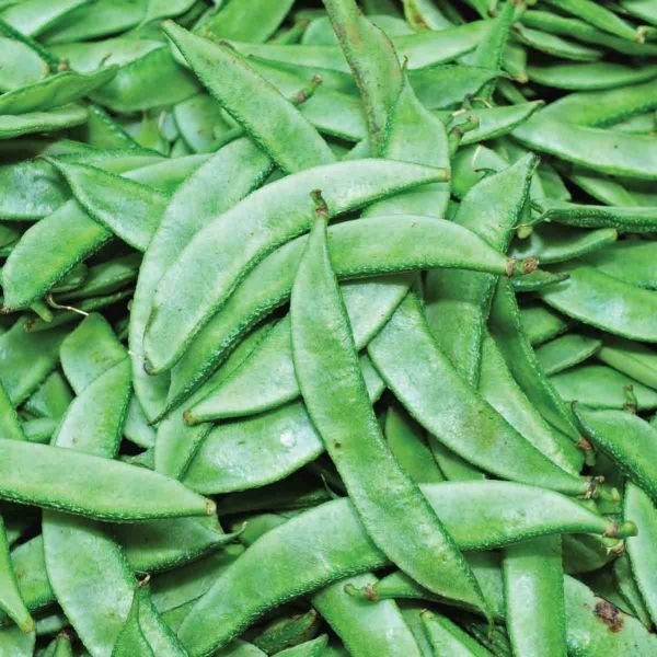 Valor Papdi – Flat beans