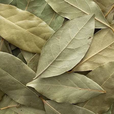 Bayleaf