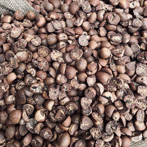 Betelnut