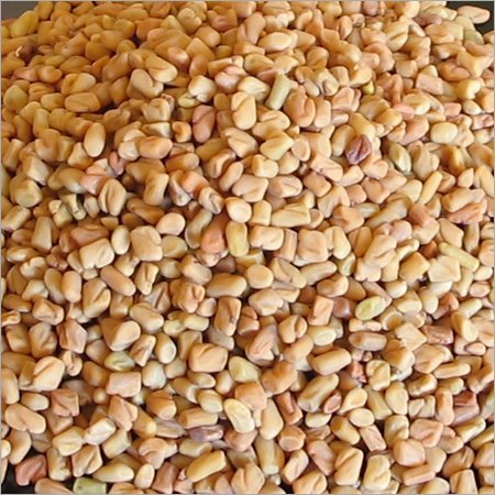Fenugreek seeds