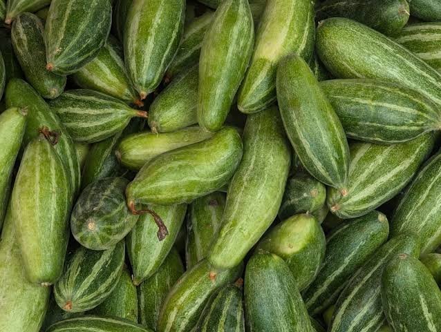 Parval – Pointed gourd