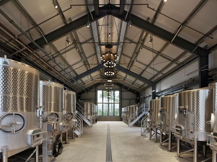 Wine pressing and clarification