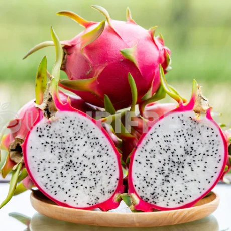Dragon Fruit White