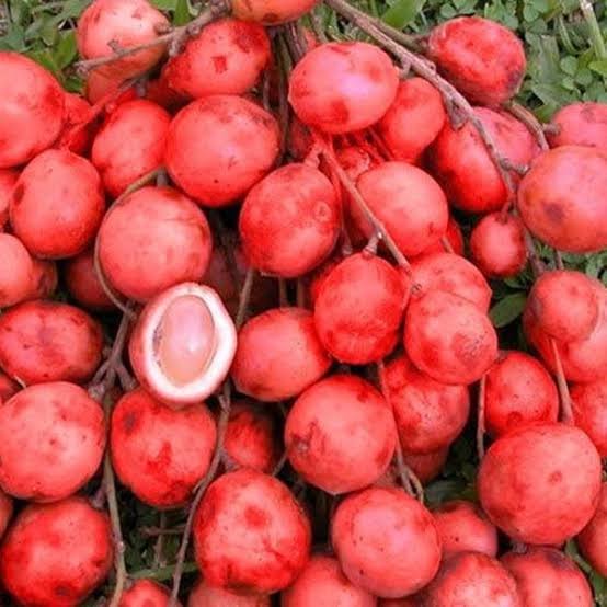 Mooty Fruit