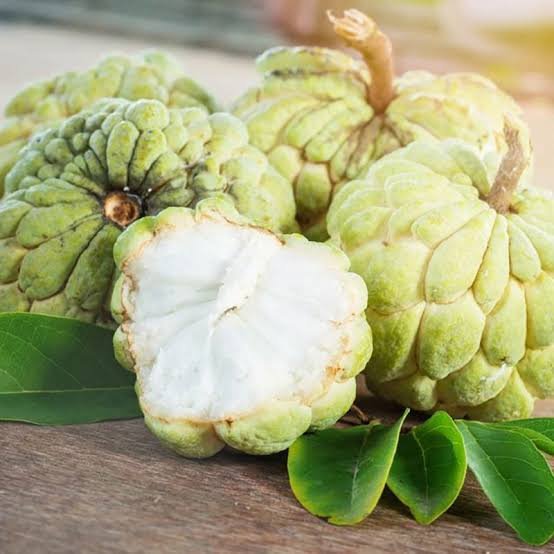Sugar Apple