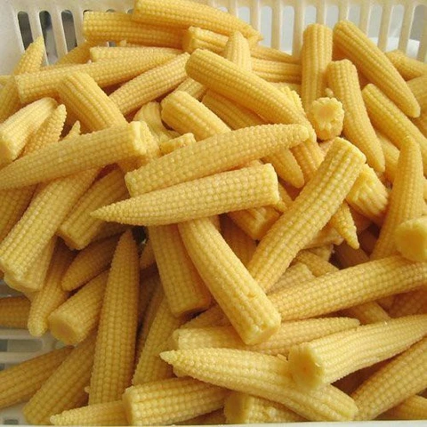 Baby Corn