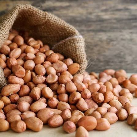 Groundnut – Small/Medium (oil & butter)