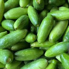Ivy gourd (Tindola)