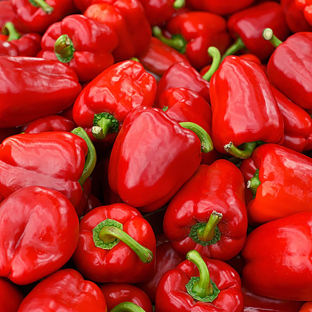 Red Capsicum