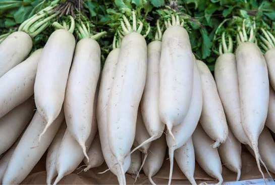 White Radish