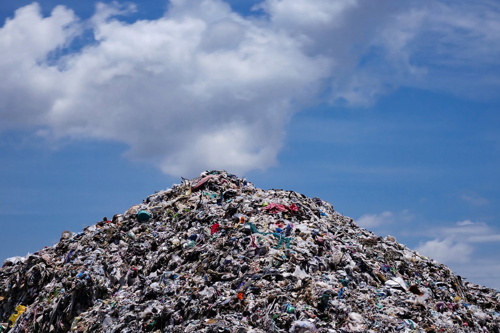 Landfill bioremediation