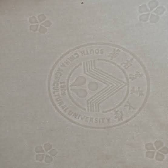 Bond paper with watermark